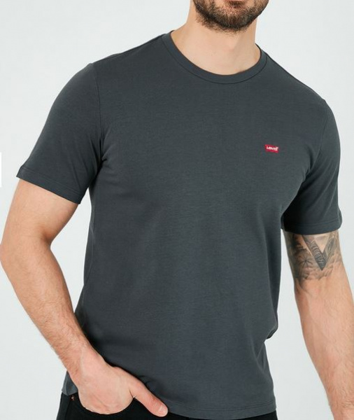 Ss Original Hm Tee Lse_Gray Very colorful