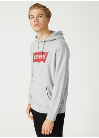 GraphicPulloverHoodieGrey61