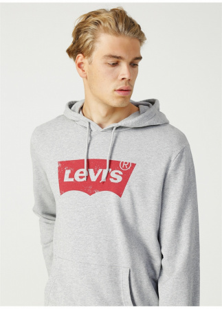 GraphicPulloverHoodieGrey59