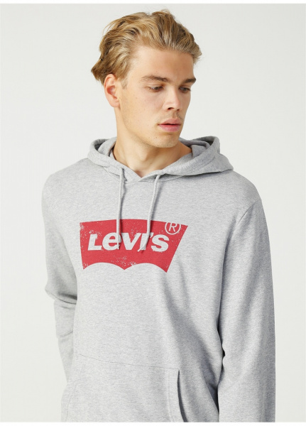 GraphicPulloverHoodieGrey59