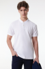Lee Polo TShirt