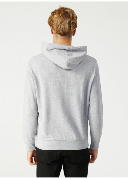 GraphicPulloverHoodieGrey62